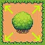 Large Field icon