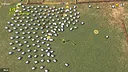 Everybody Herds Screenshot 12