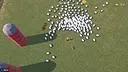 Everybody Herds Screenshot 0