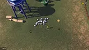 Everybody Herds Screenshot 9