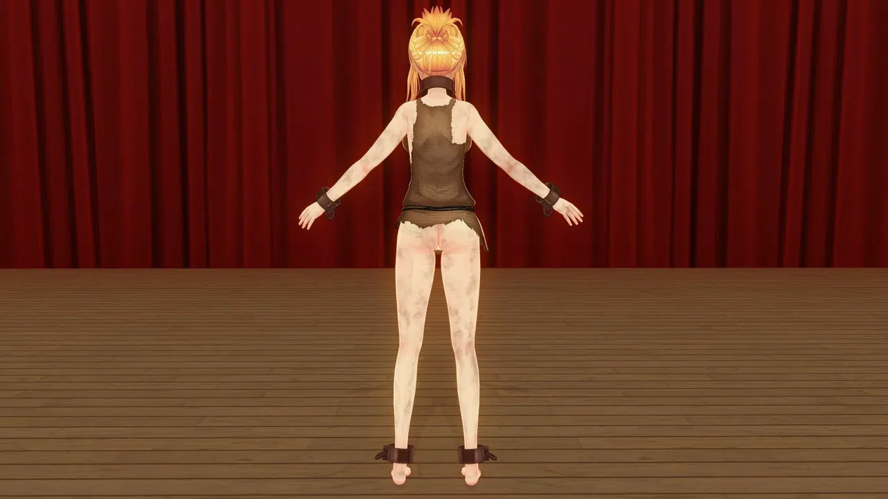 CUSTOM ORDER MAID 3D2 It's a Night Magic Present from a Hasty Santa ALL in ONE Pack Screenshot 10