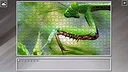 Super Jigsaw Puzzle: Generations - Bugs 2 Screenshot 16