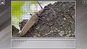 Super Jigsaw Puzzle: Generations - Bugs 2 Screenshot 5