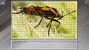 Super Jigsaw Puzzle: Generations - Bugs 2 Screenshot 21