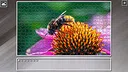Super Jigsaw Puzzle: Generations - Bugs 2 Screenshot 0