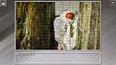 Super Jigsaw Puzzle: Generations - Bugs 2 Screenshot 11