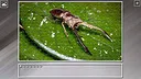 Super Jigsaw Puzzle: Generations - Bugs 2 Screenshot 1