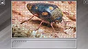 Super Jigsaw Puzzle: Generations - Bugs 2 Screenshot 22