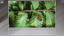 Super Jigsaw Puzzle: Generations - Bugs 2 Screenshot 7