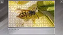 Super Jigsaw Puzzle: Generations - Bugs 2 Screenshot 24