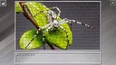 Super Jigsaw Puzzle: Generations - Bugs 2 Screenshot 10