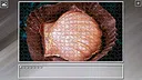 Super Jigsaw Puzzle: Generations - Sweets 2 Screenshot 25