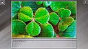 Super Jigsaw Puzzle: Generations - Ireland Screenshot 26