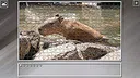 Super Jigsaw Puzzle: Generations - Rivers Screenshot 3