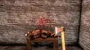 Raccoon Hunter Screenshot 2