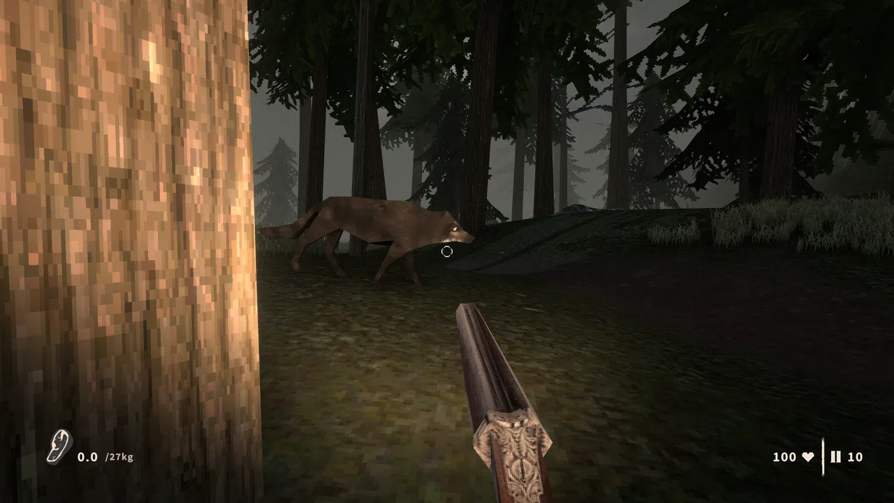 Raccoon Hunter Screenshot 8