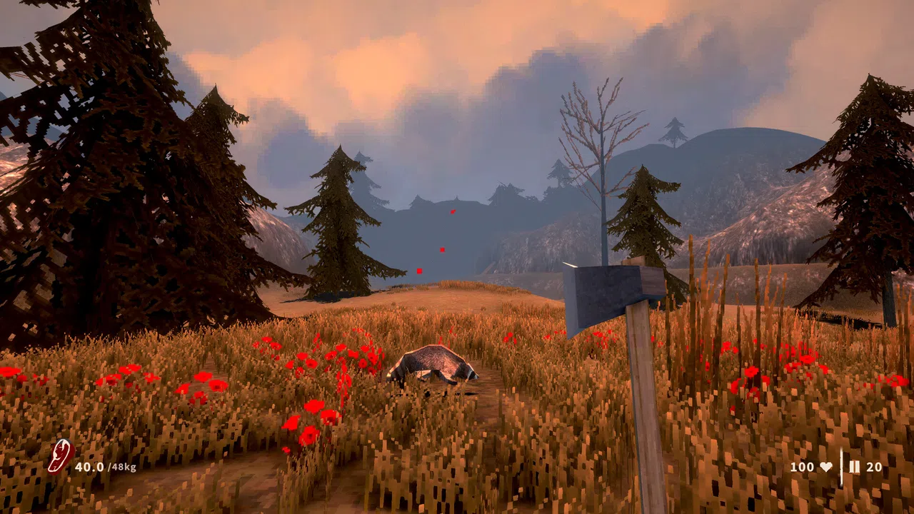 Raccoon Hunter Screenshot 4