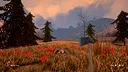 Raccoon Hunter Screenshot 4