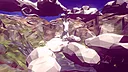 Dreamcore Retro Screenshot 4