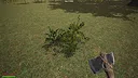 Isla de la Muerte Screenshot 10
