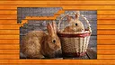 Paw & Hop Jigsaw Quest Screenshot 2