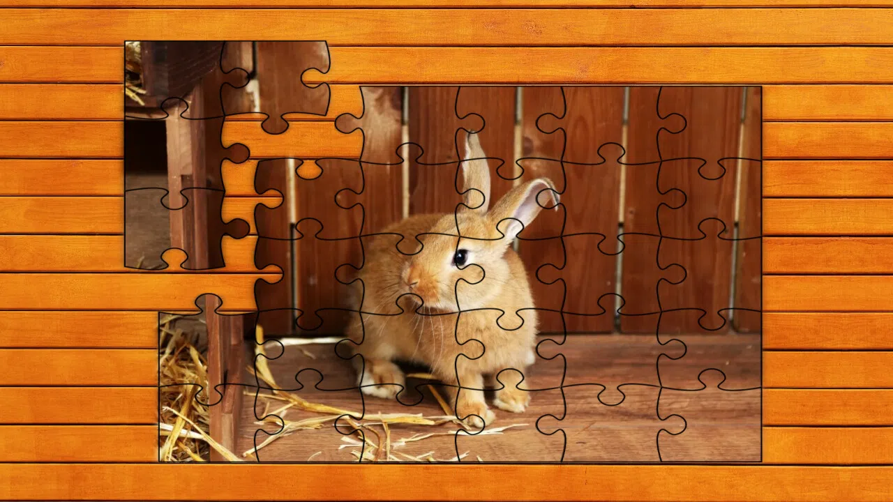 Paw & Hop Jigsaw Quest Screenshot 3