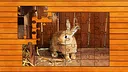 Paw & Hop Jigsaw Quest Screenshot 3