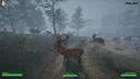 HuntNPrey Screenshot 0