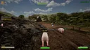 HuntNPrey Screenshot 7