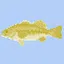 Bass city icon