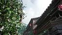 DragonRoad Screenshot 41