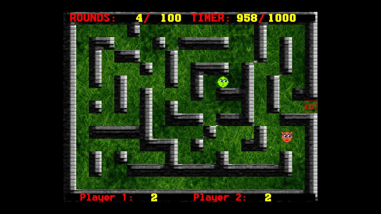 Maze Racer Balls Screenshot 2