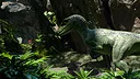 Evolve: Advanced Screenshot 1