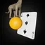 Race to Pin icon