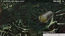 Isopod Keeping Simulator Screenshot 5