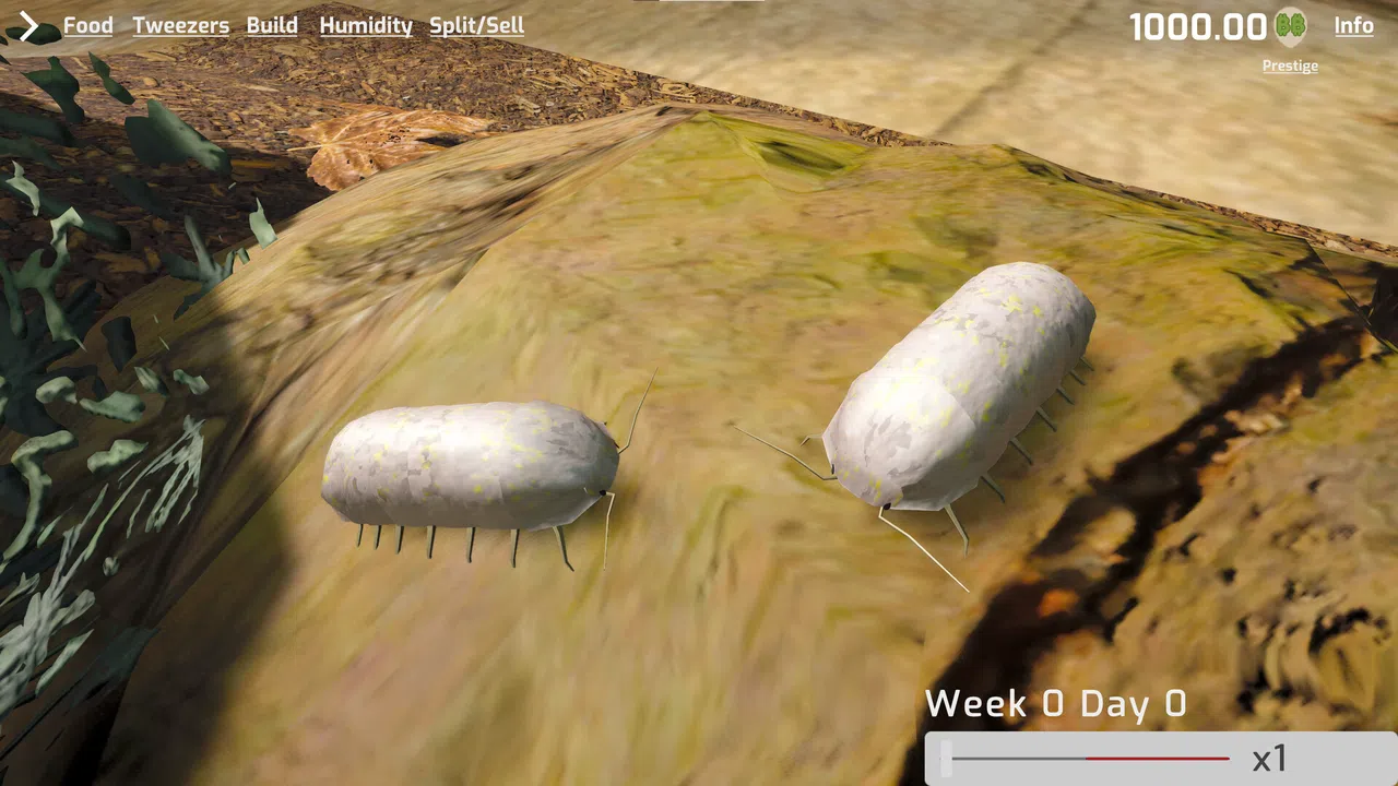 Isopod Keeping Simulator Screenshot 4