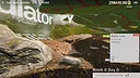 Isopod Keeping Simulator Screenshot 2