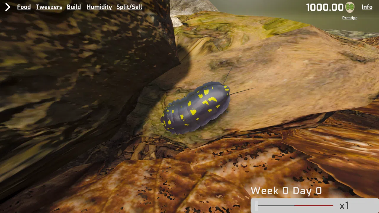 Isopod Keeping Simulator Screenshot 0