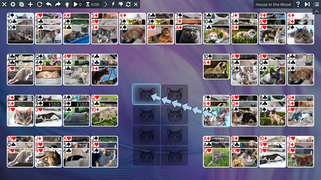 Free Solitaire - Cats Screenshot 7