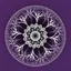 Expedition icon