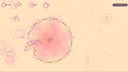 Propa. Screenshot 4