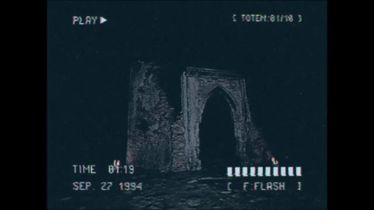 Lost Footage : Sound In The Silence Screenshot 3