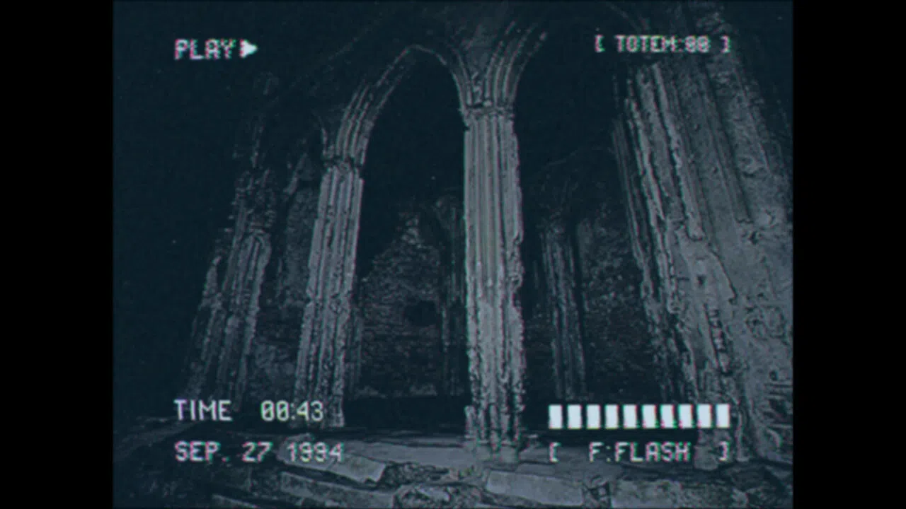 Lost Footage : Sound In The Silence Screenshot 4