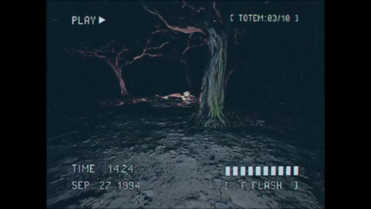 Lost Footage : Sound In The Silence Screenshot 2