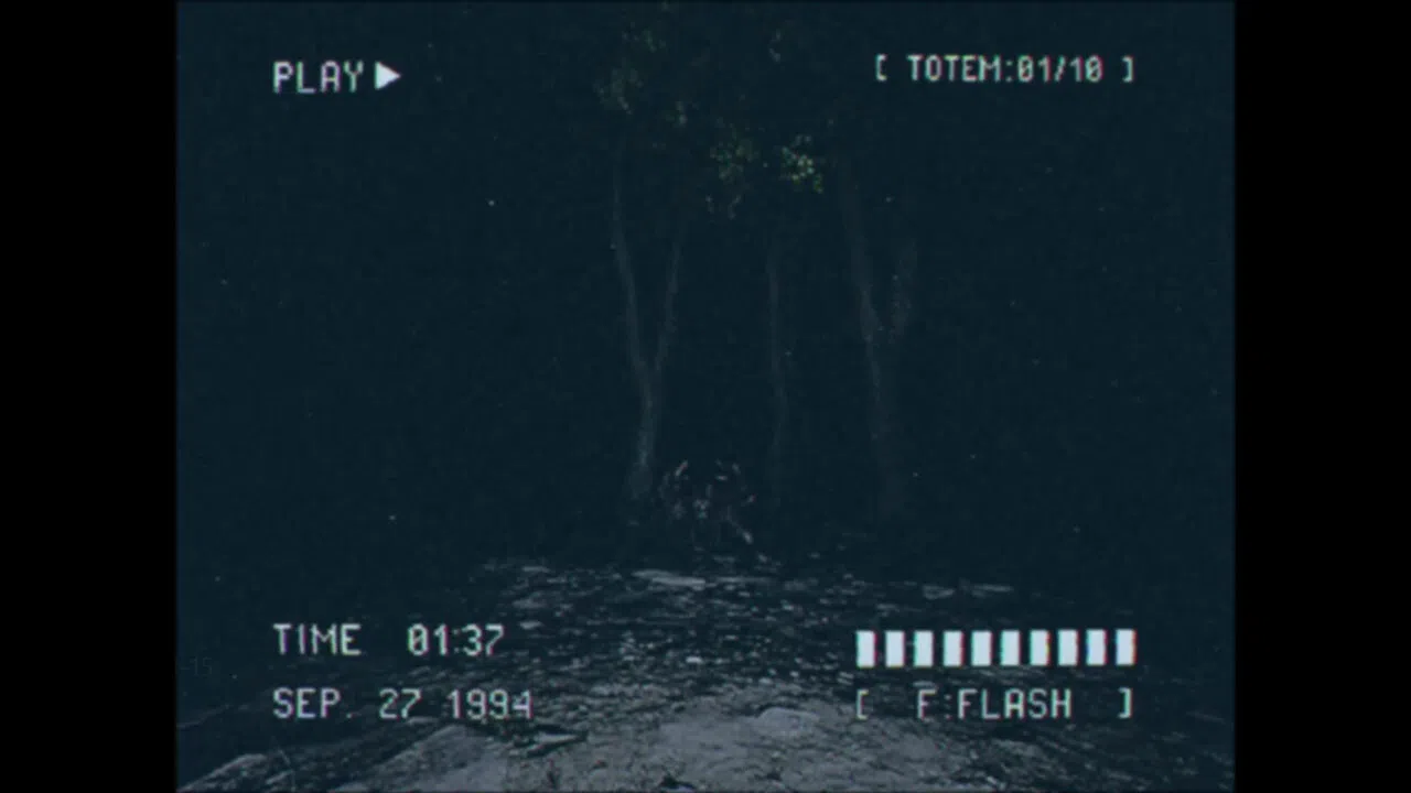 Lost Footage : Sound In The Silence Screenshot 0