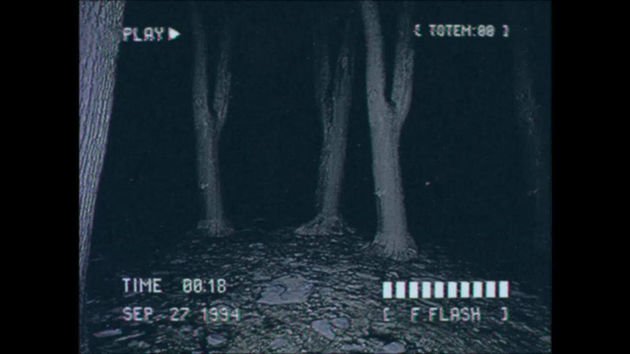 Lost Footage : Sound In The Silence Screenshot 1