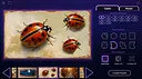 Master of Pieces © Jigsaw Puzzle DLC - Boarded Beauty Screenshot 2