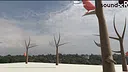 Sound scape Screenshot 0