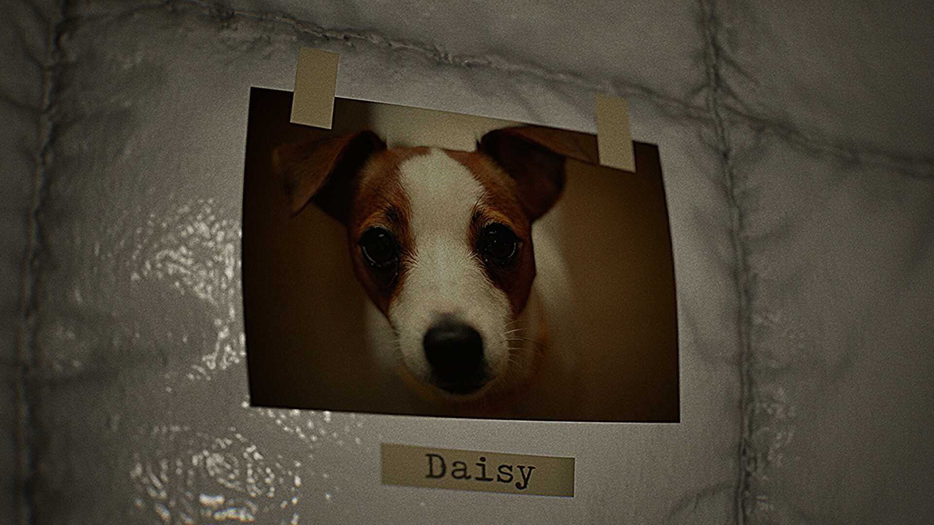 The Milgram Experiment Demo Screenshot 3