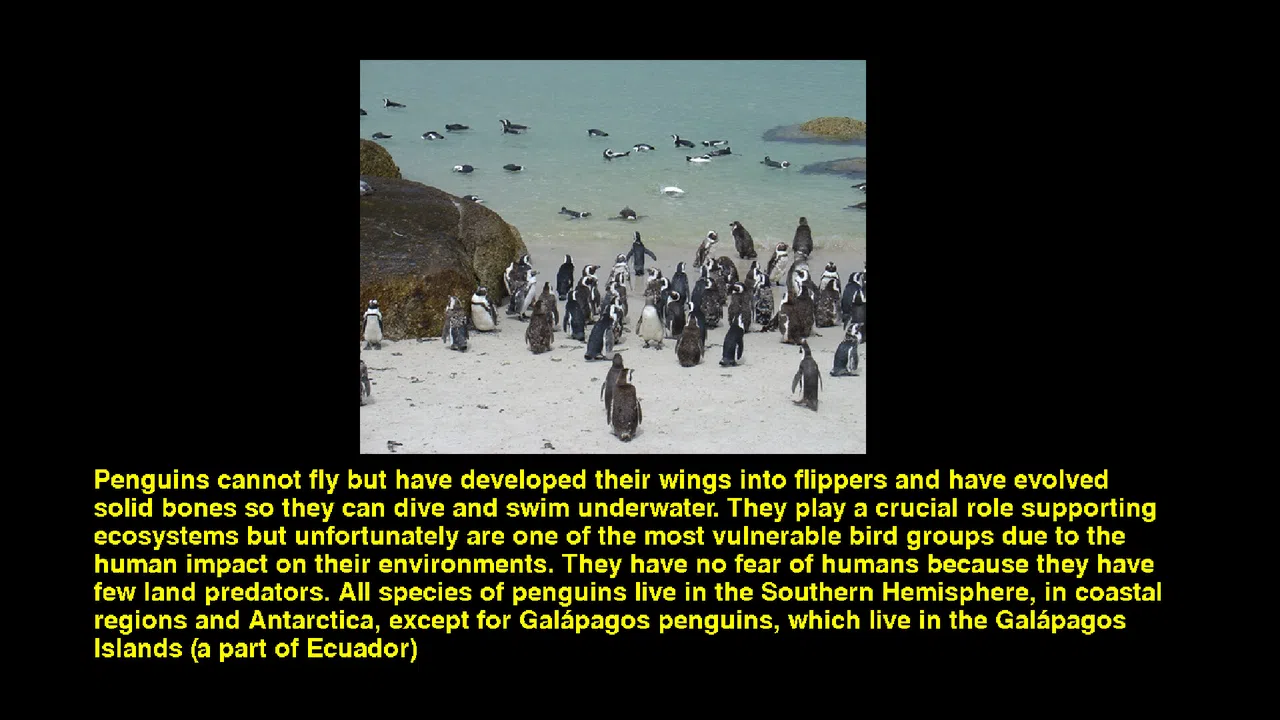 Quiz & Learn: Geography Screenshot 4